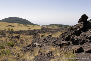 Monte_Nero_degli_Zappini - 10-08-2016 12-19-05.JPG